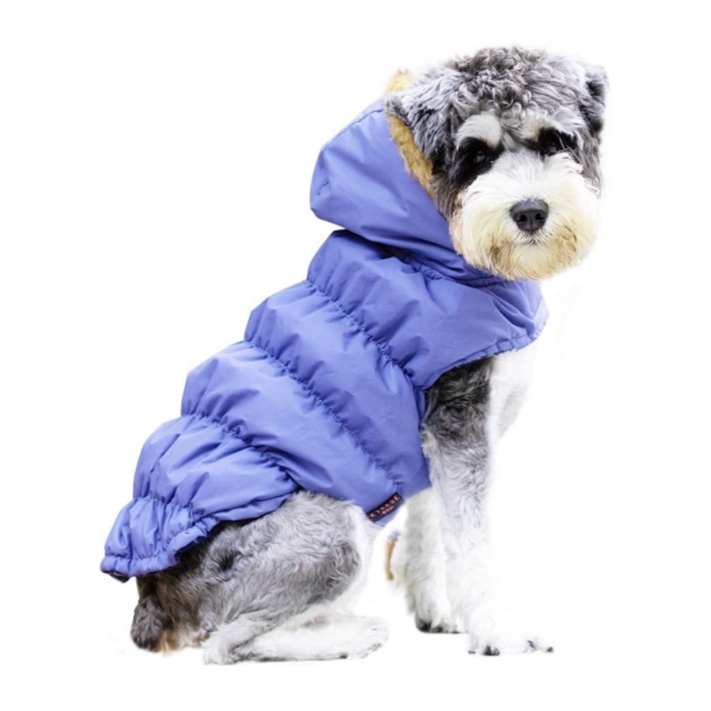 Blue Fur-Trimmed Dog Jacket--P